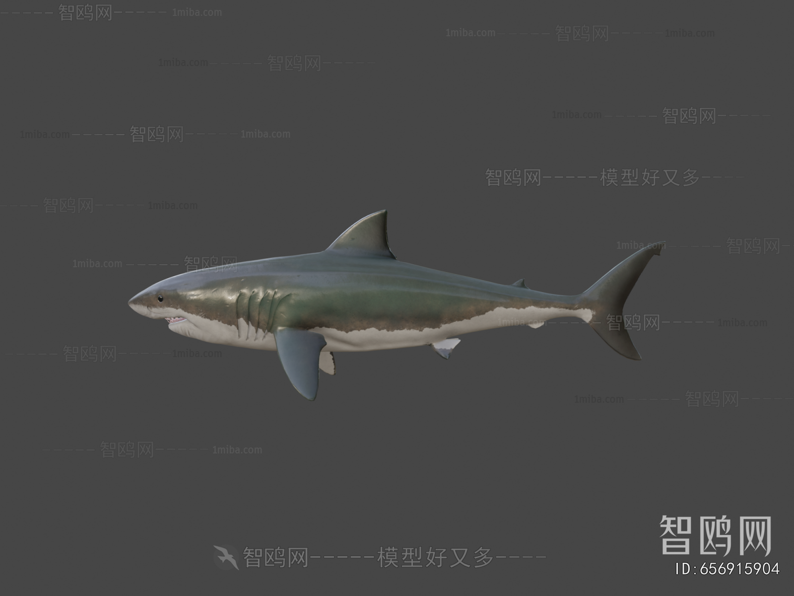 Modern Aquatic Animals