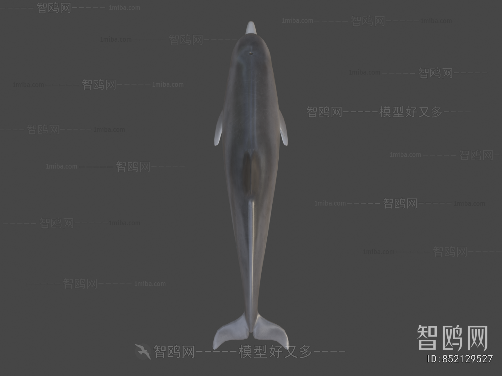 Modern Aquatic Animals