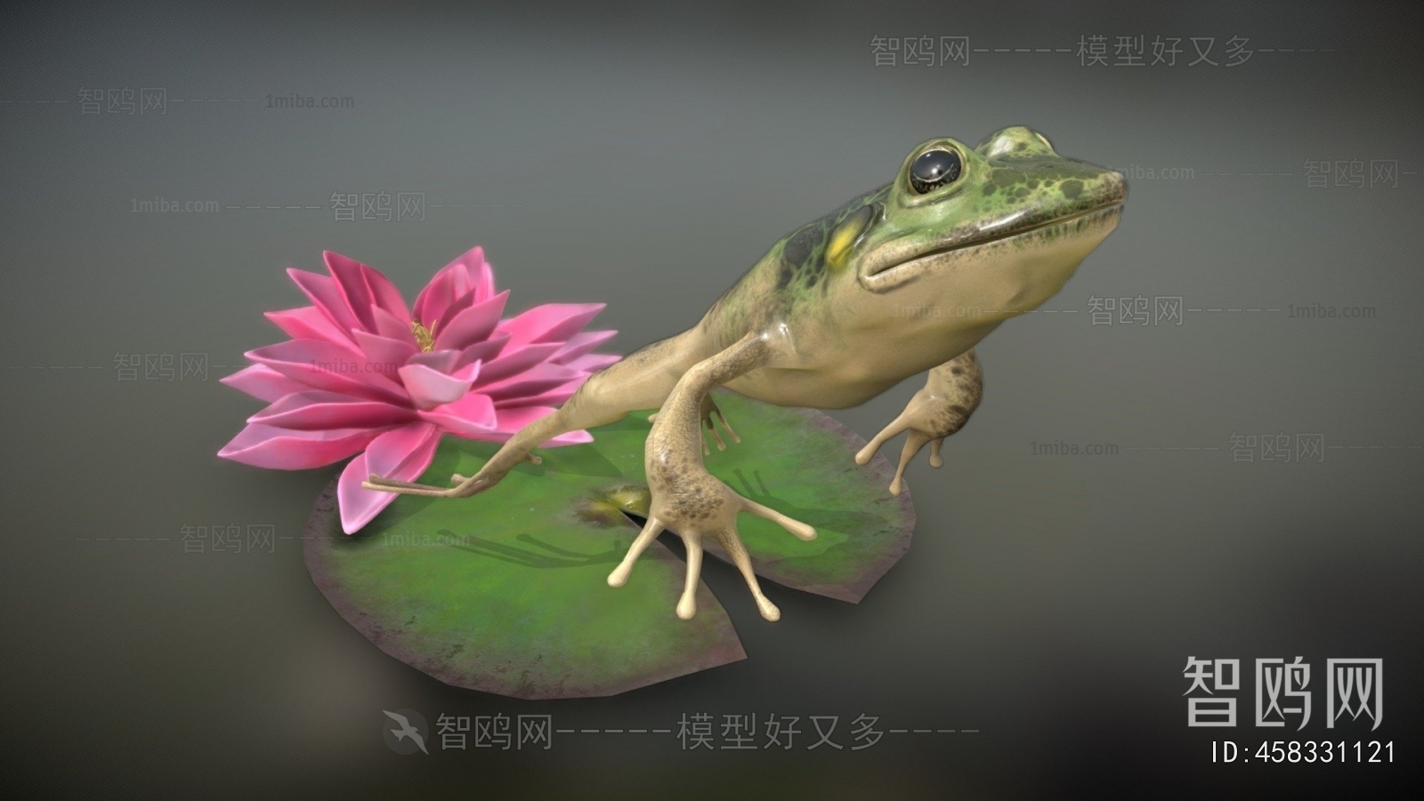 Modern Aquatic Animals