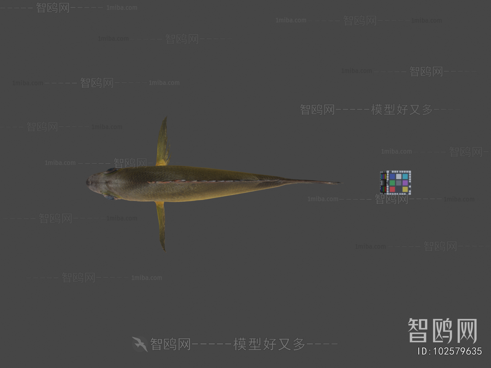 Modern Aquatic Animals