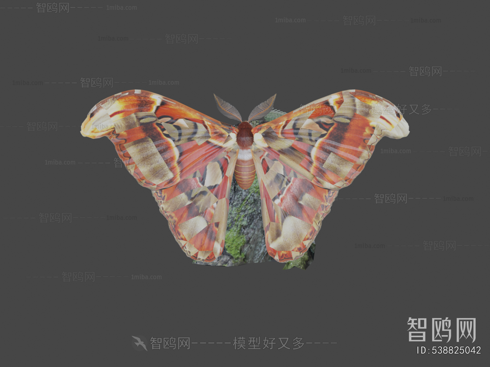 Modern Flying Animals