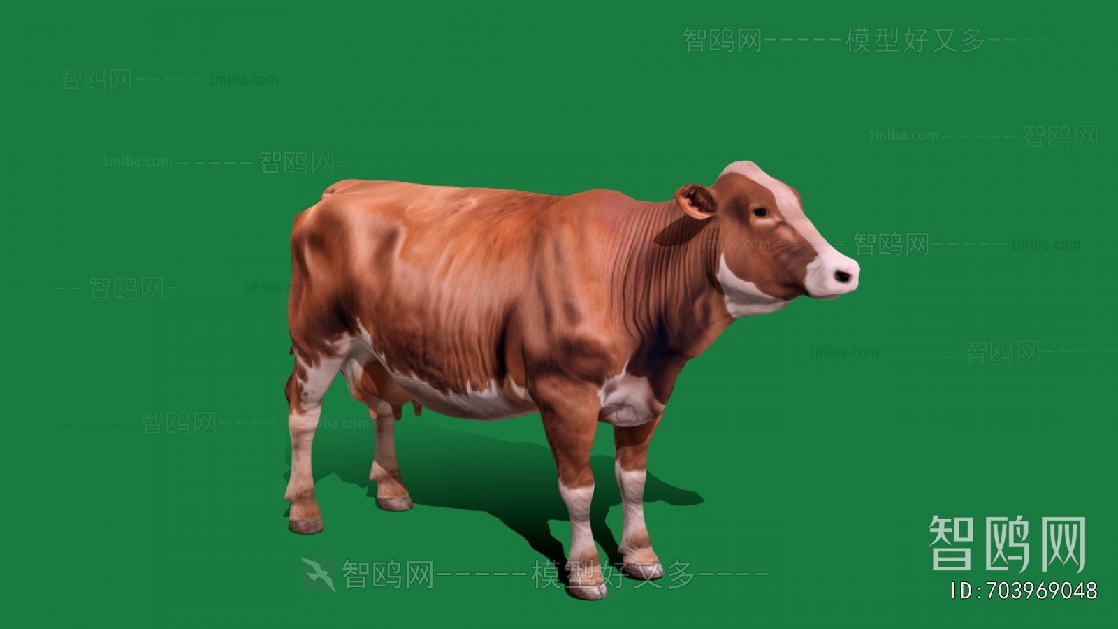 Modern Mammal