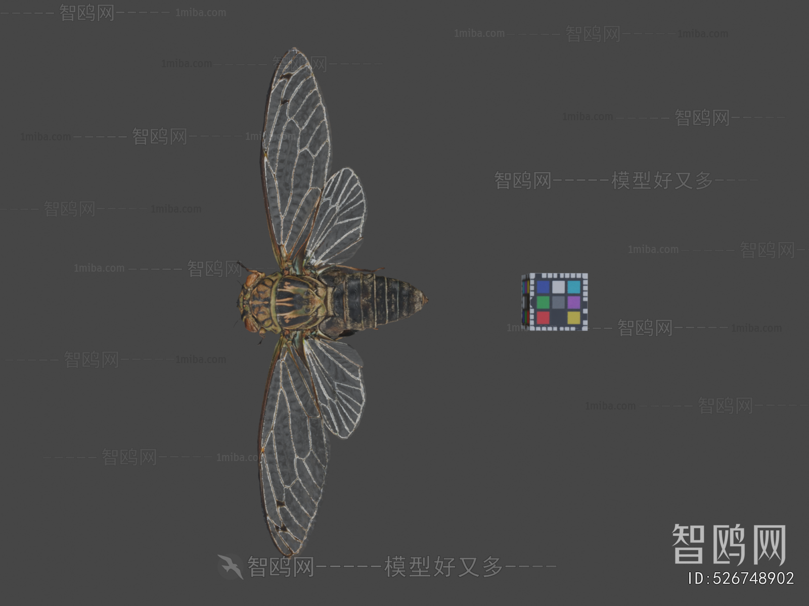 Modern Flying Animals