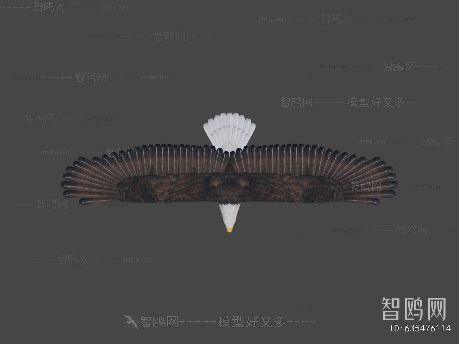 Modern Flying Animals