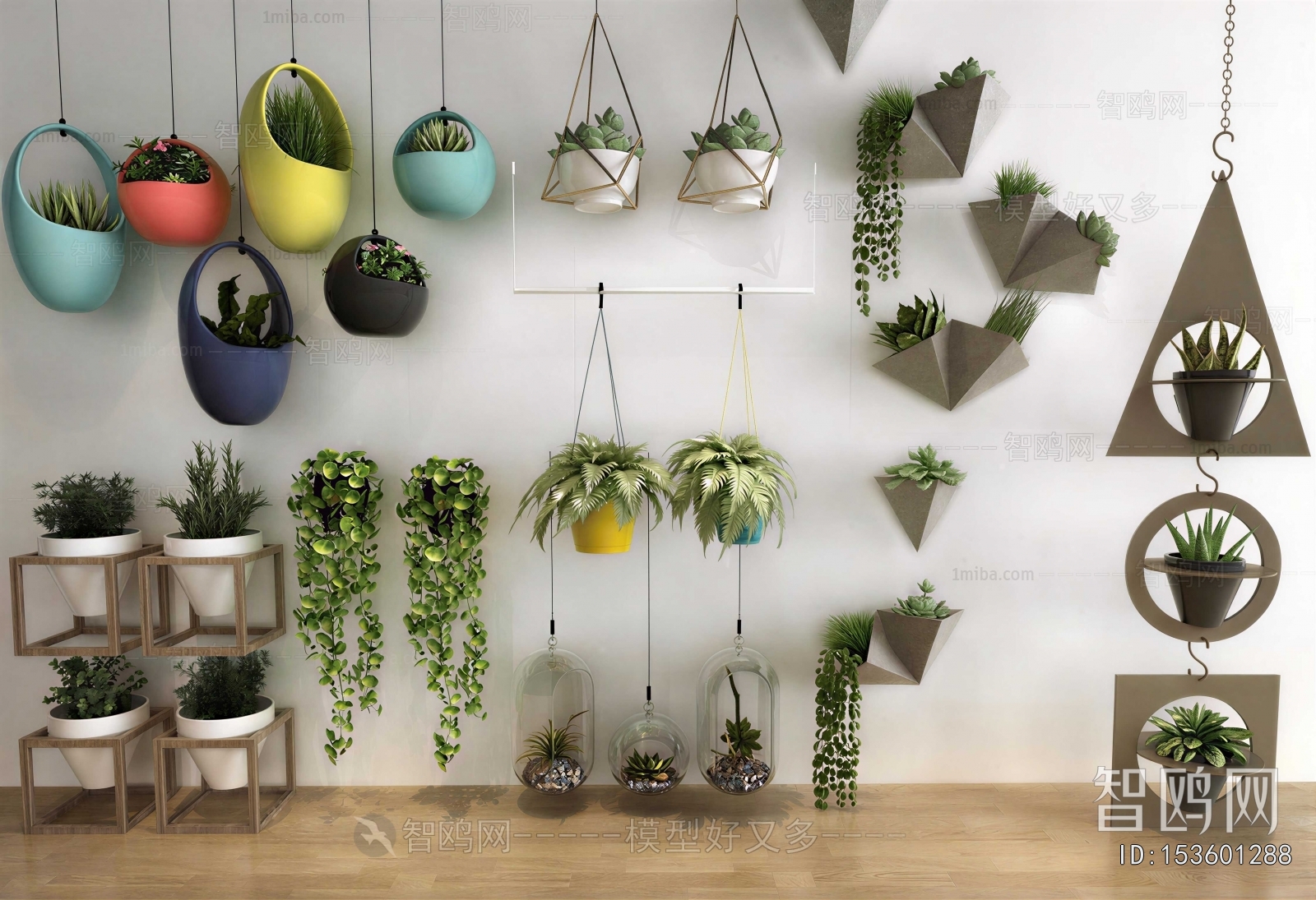 Modern Chlorophytum Comosum