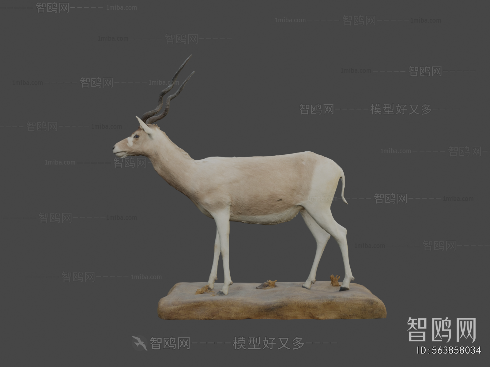 Modern Mammal