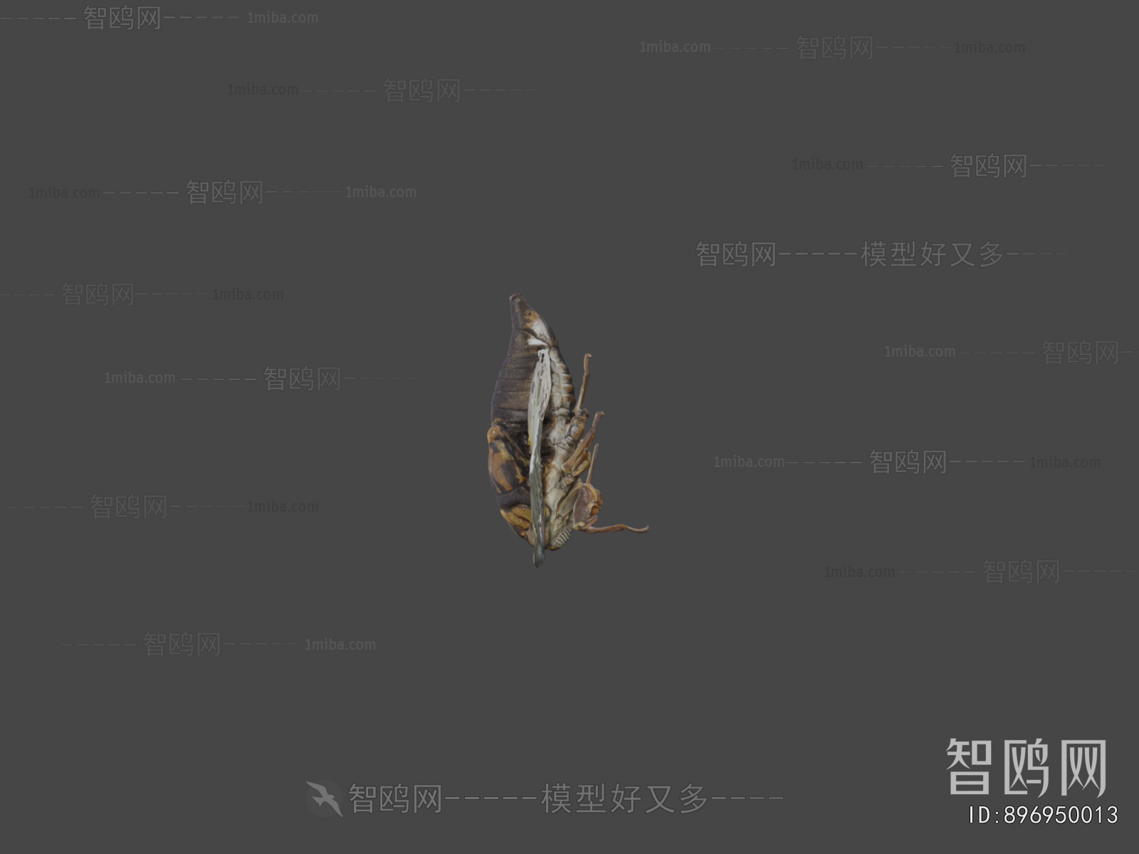 Modern Flying Animals