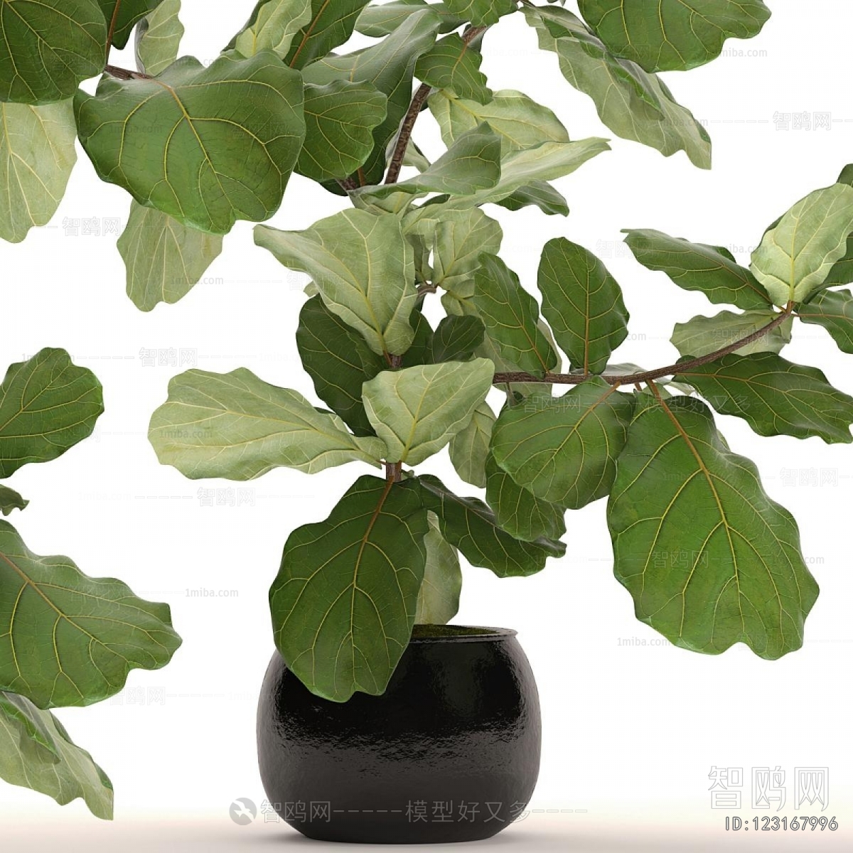 Modern Ground Green Plant Potted Plants