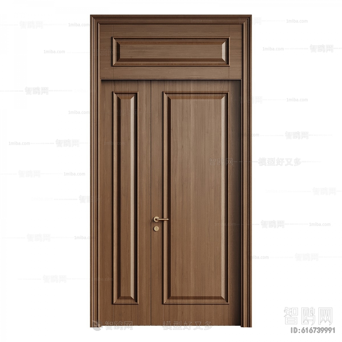 Modern Door