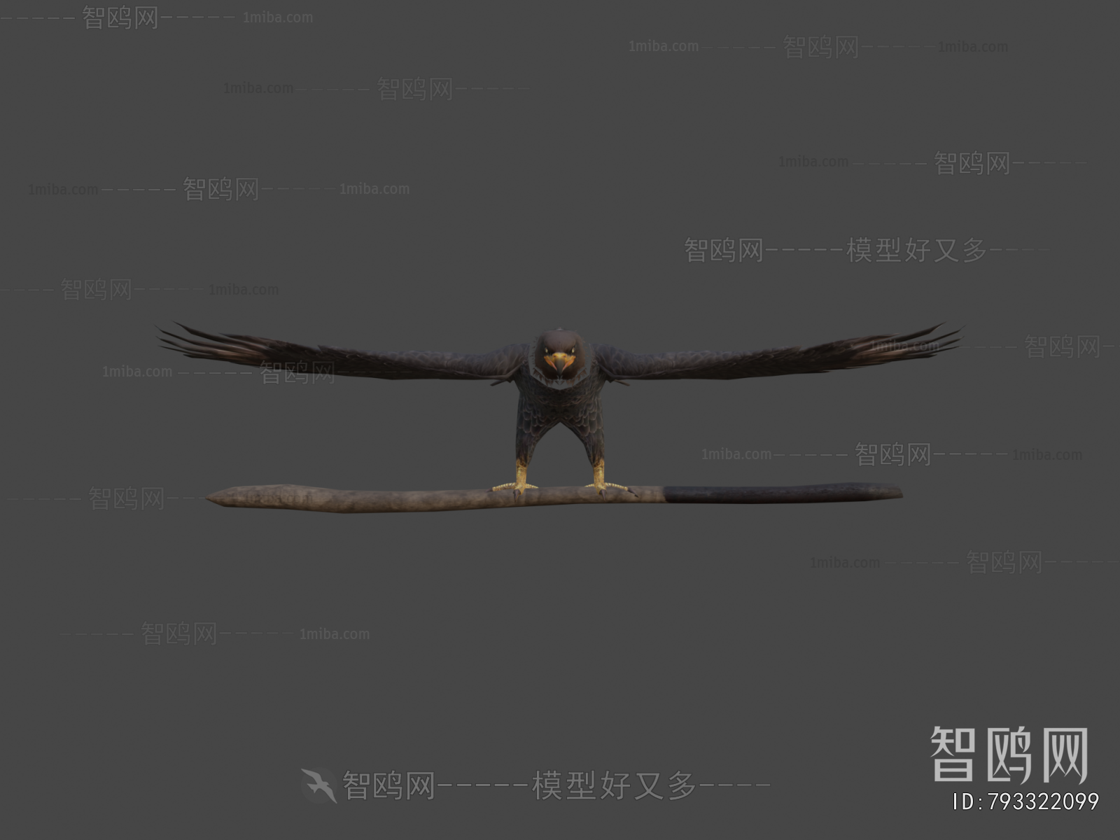 Modern Flying Animals