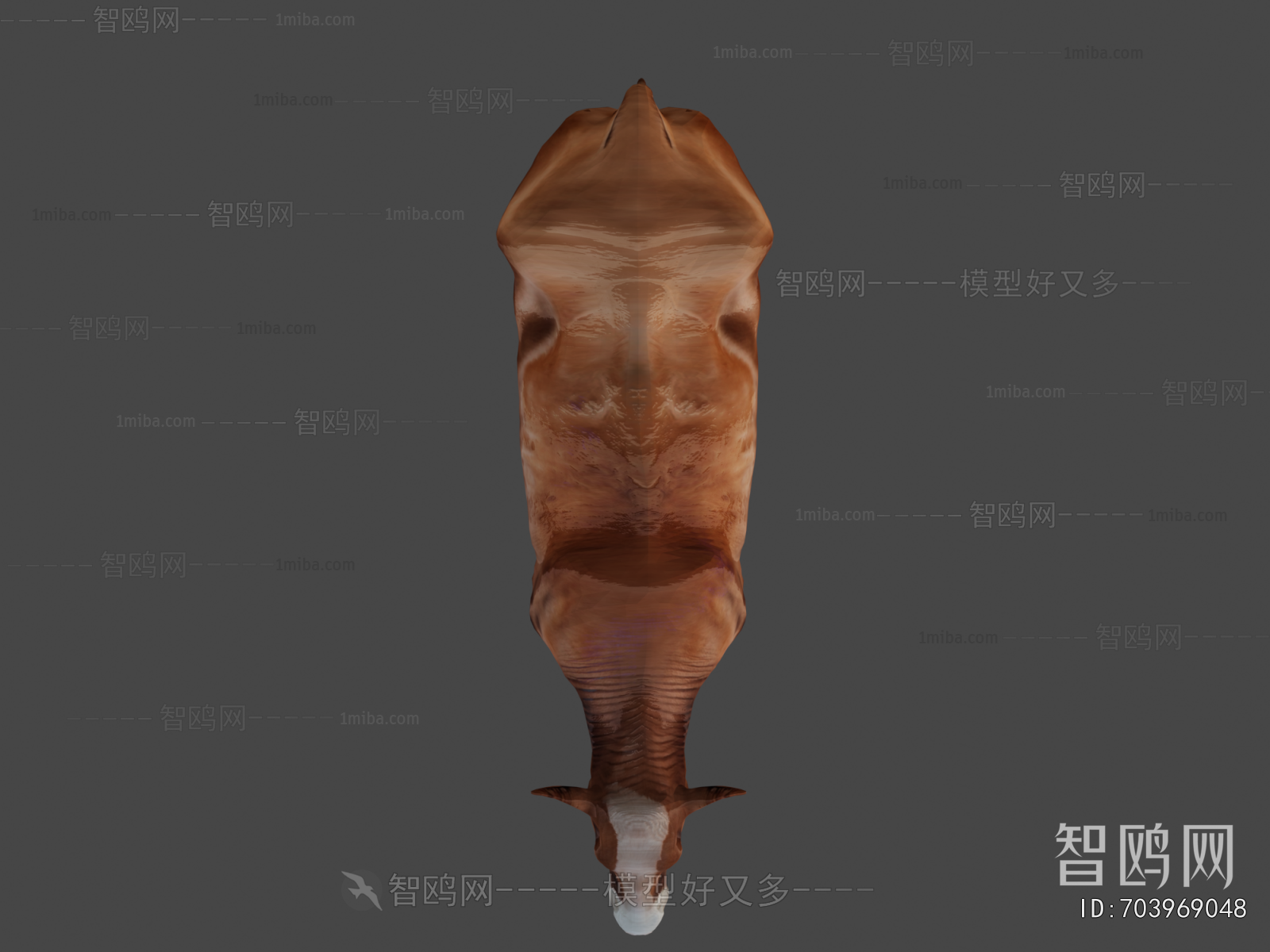 Modern Mammal