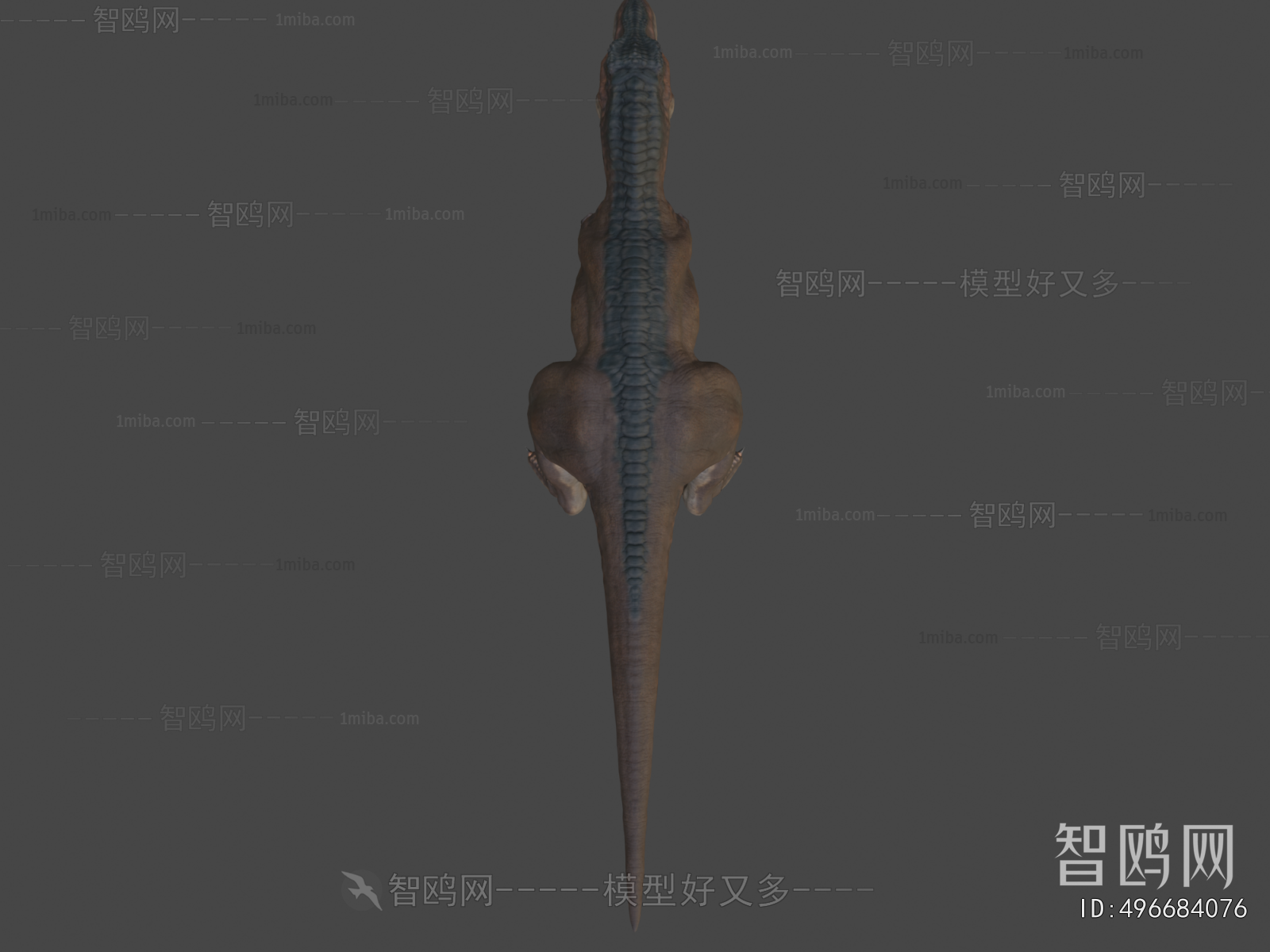 Modern Other Animals