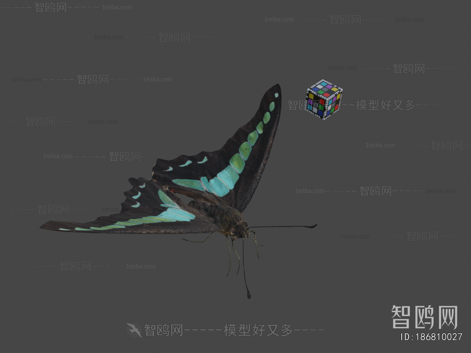 Modern Flying Animals