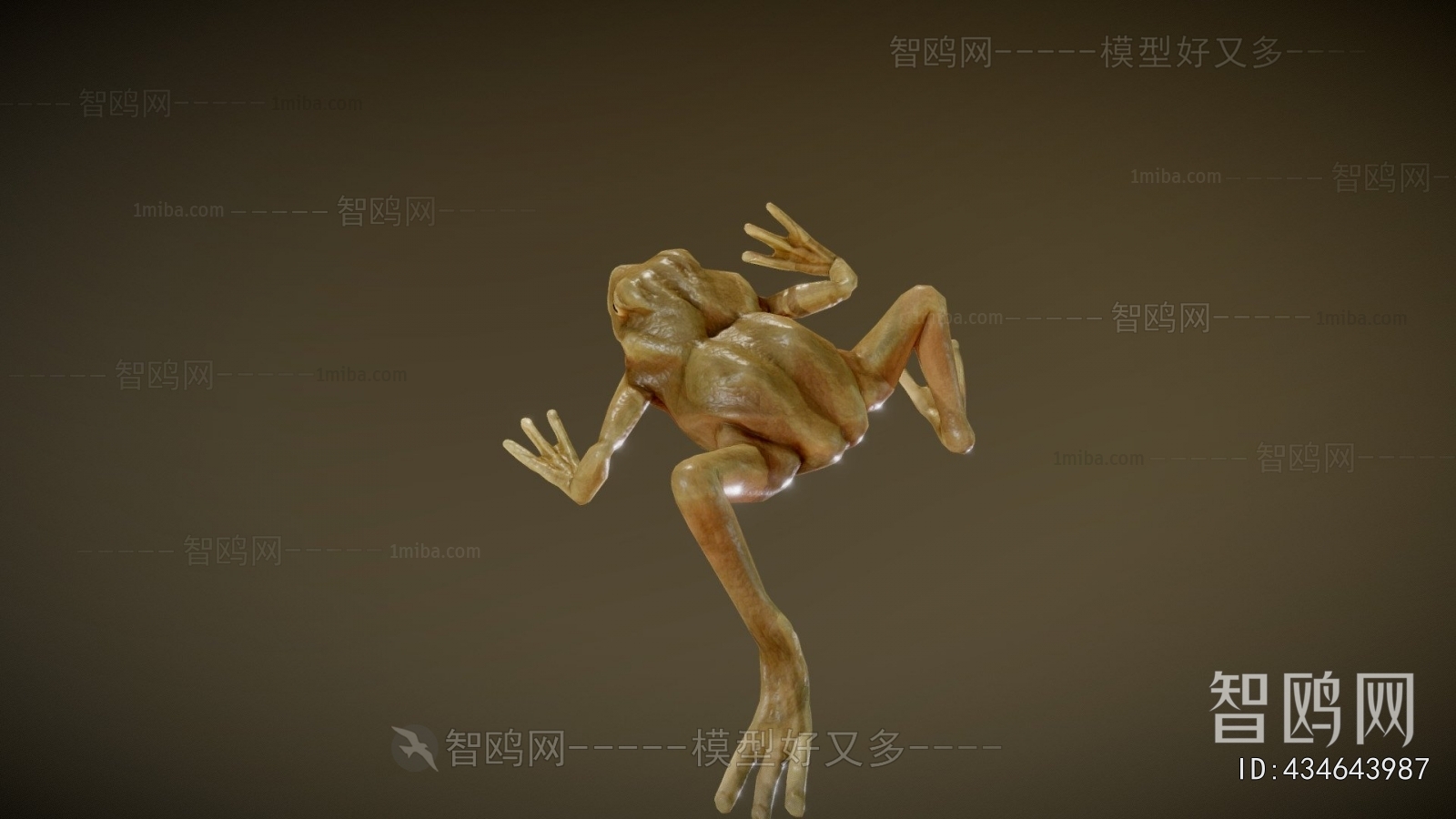 Modern Aquatic Animals