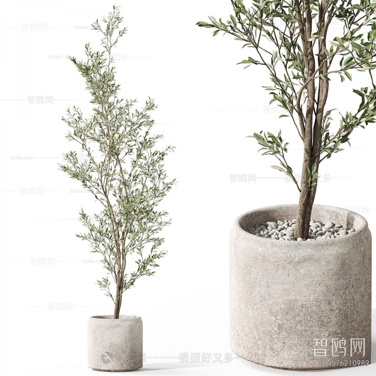 Modern Ground Green Plant Potted Plants