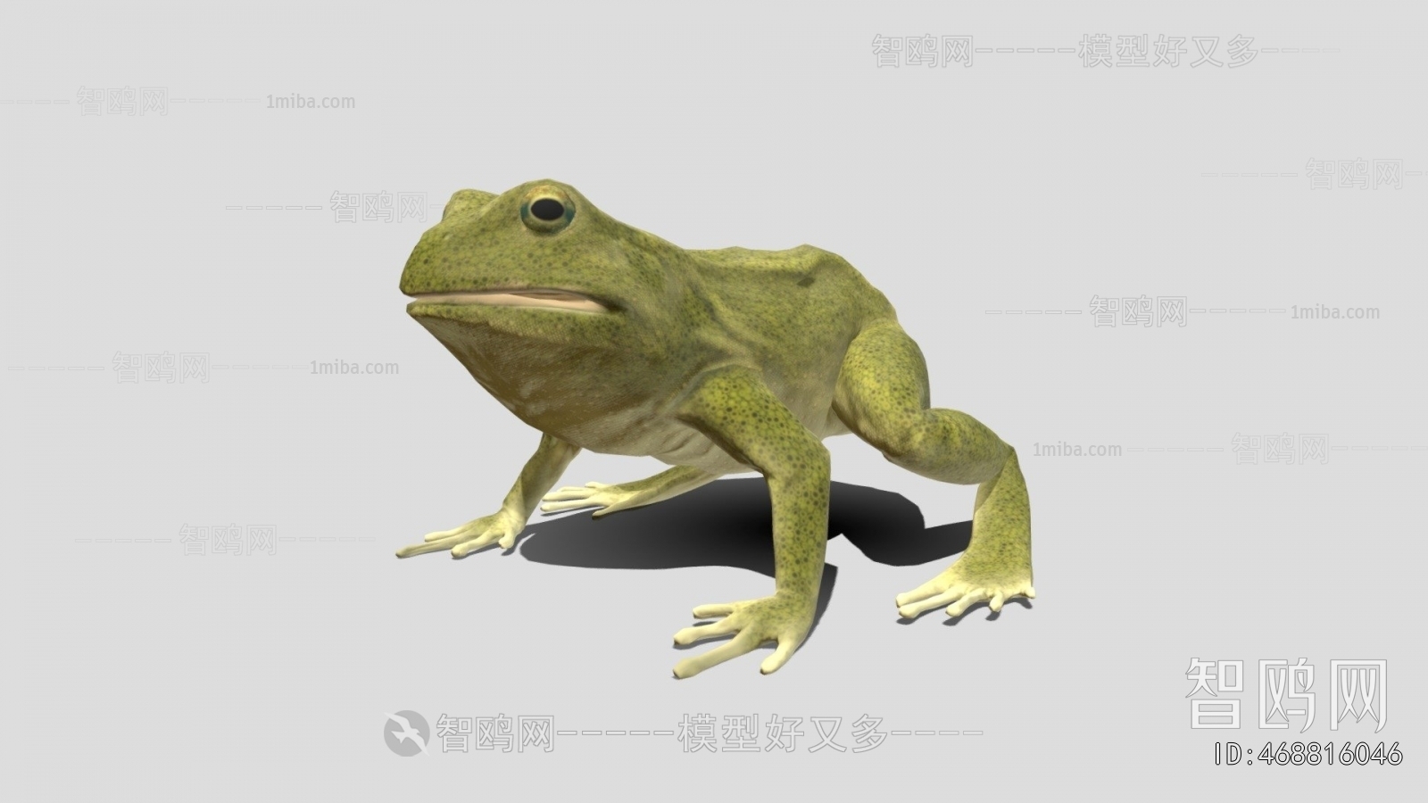 Modern Aquatic Animals