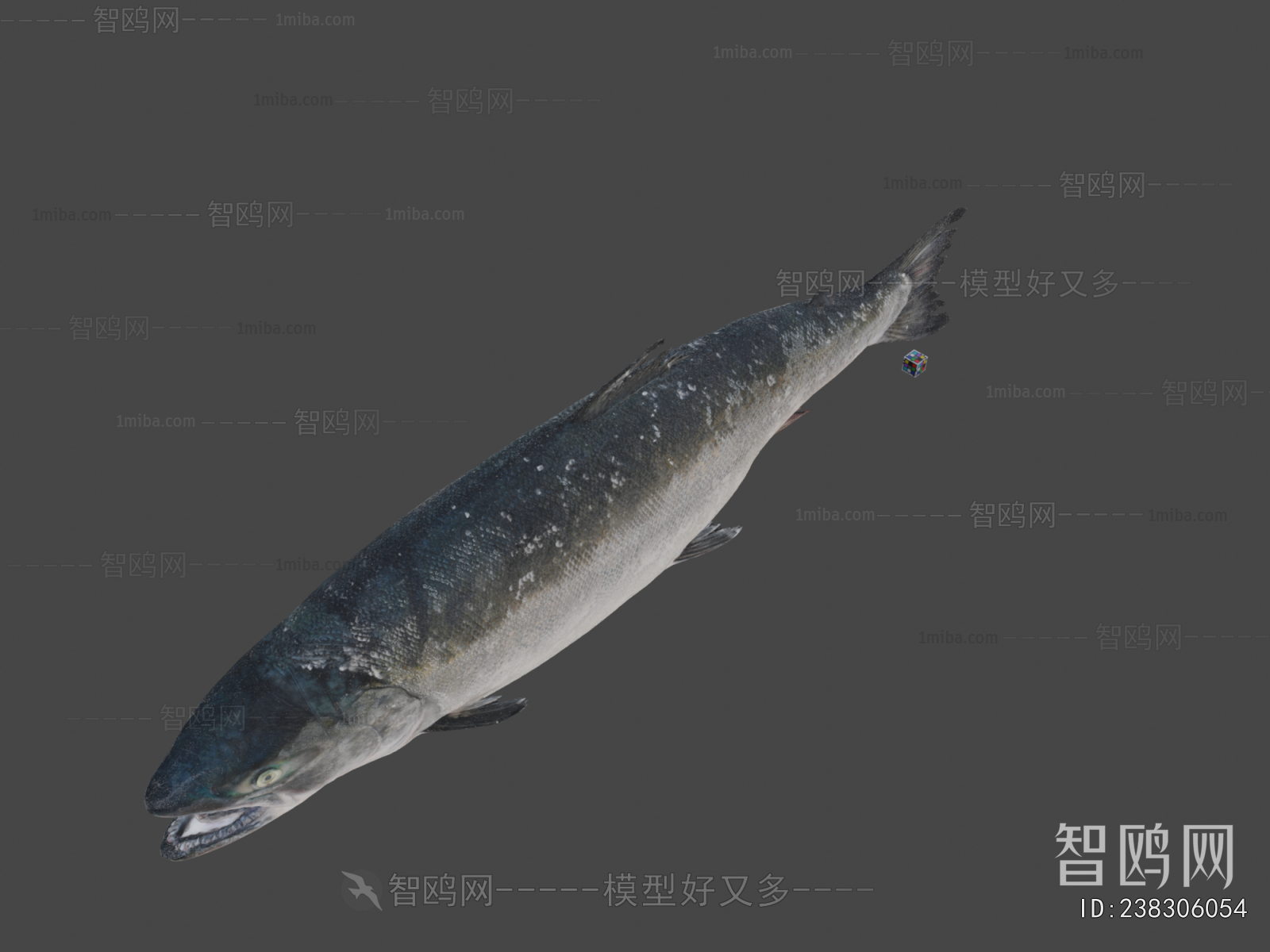 Modern Aquatic Animals