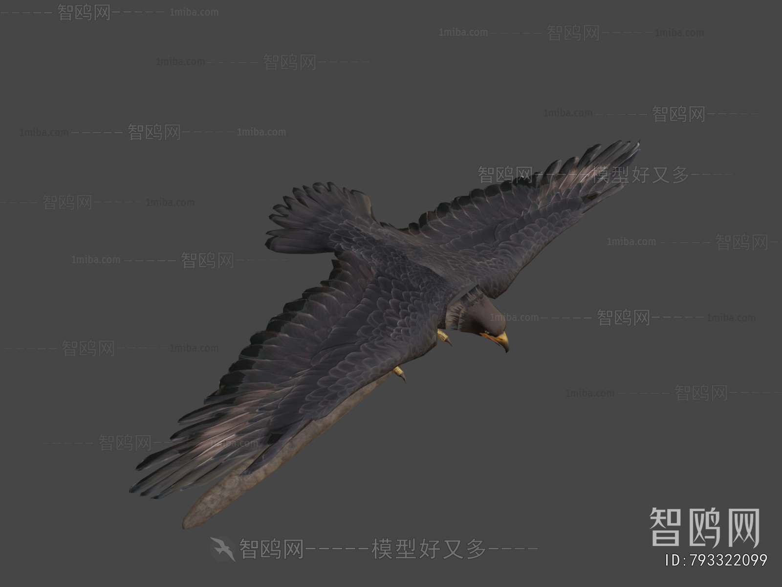 Modern Flying Animals