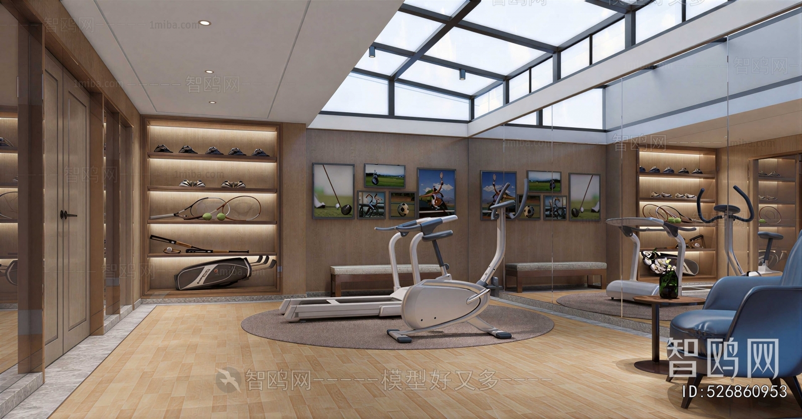 Modern Home Fitness Room