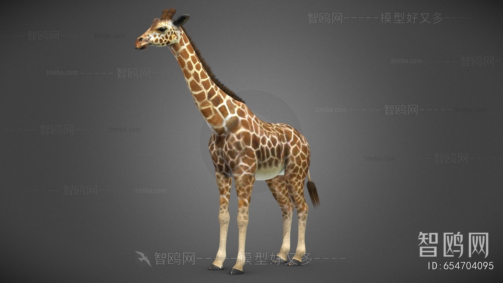 Modern Mammal