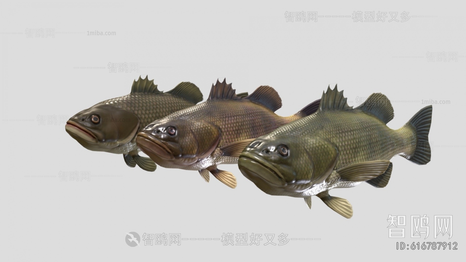 Modern Aquatic Animals