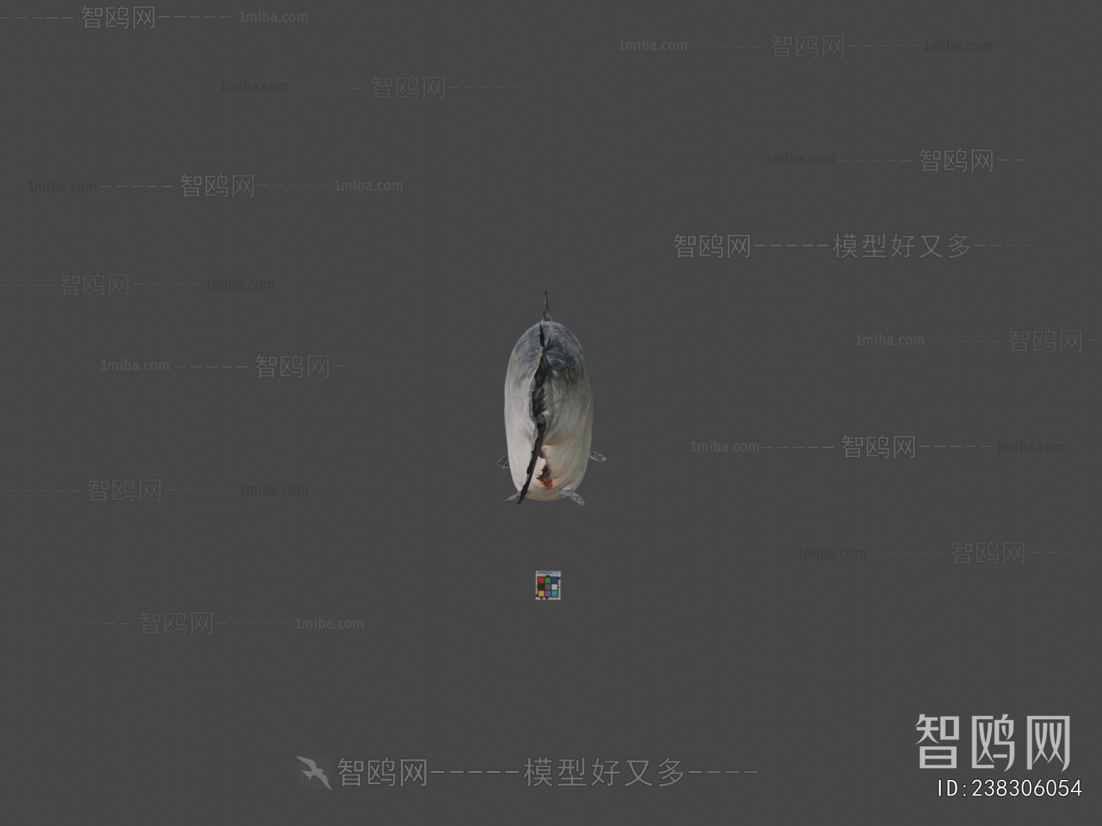 Modern Aquatic Animals