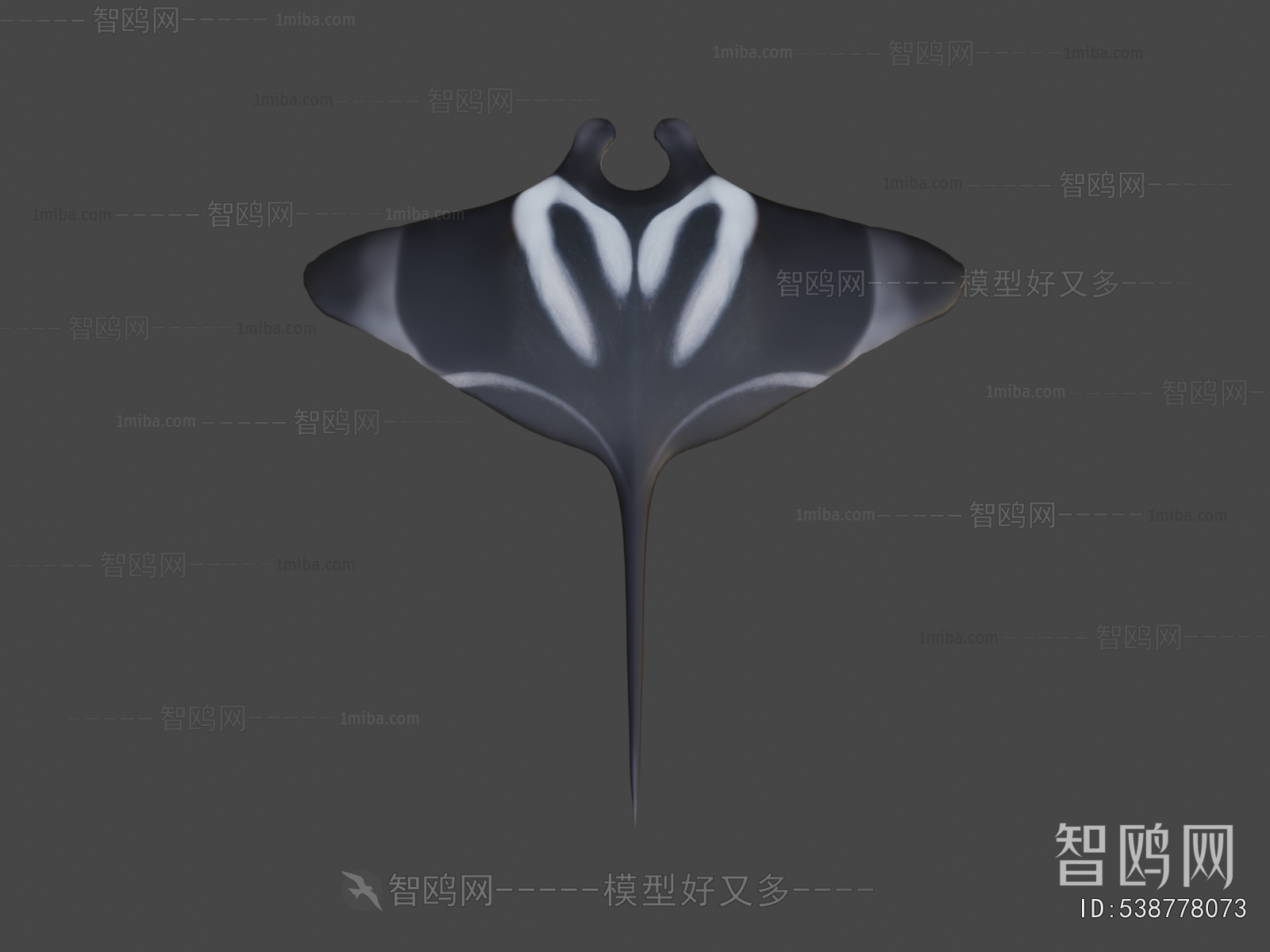 Modern Aquatic Animals