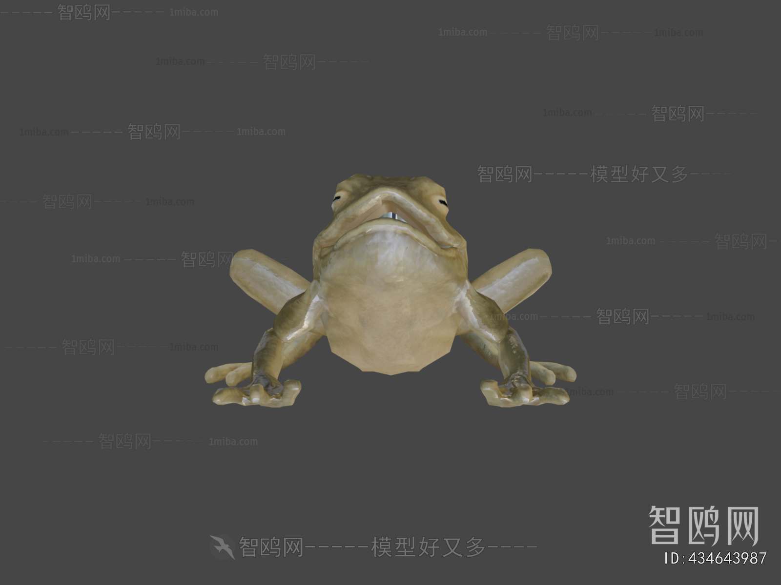 Modern Aquatic Animals