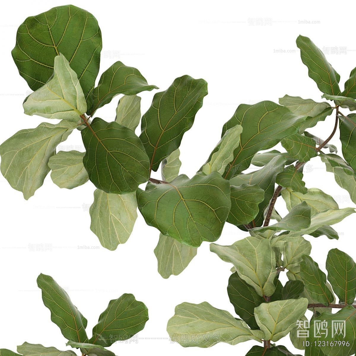 Modern Ground Green Plant Potted Plants