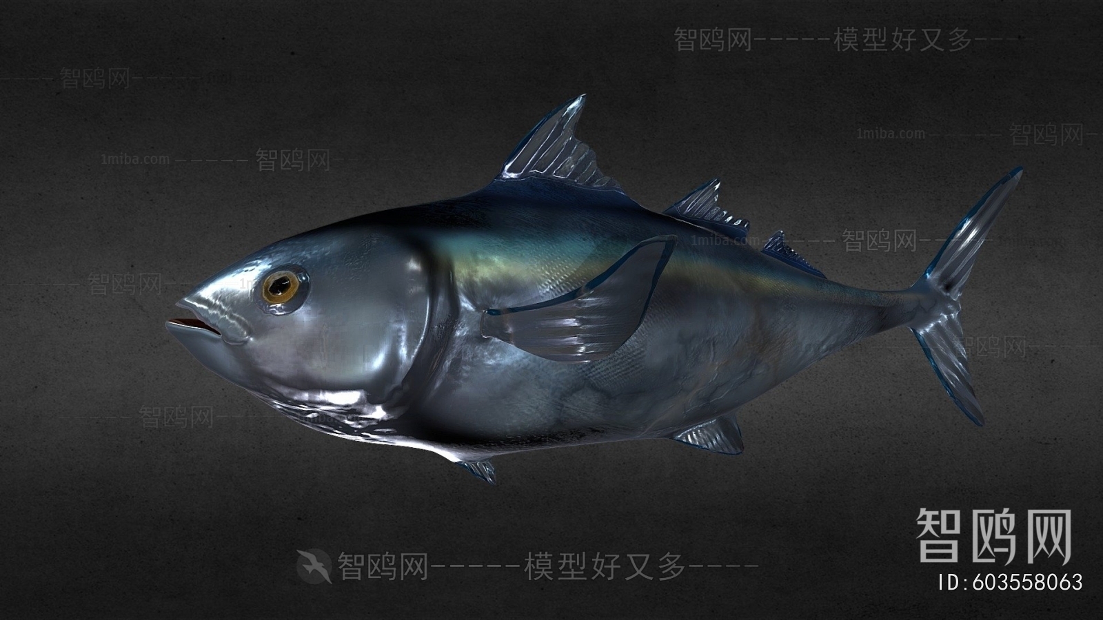 Modern Aquatic Animals