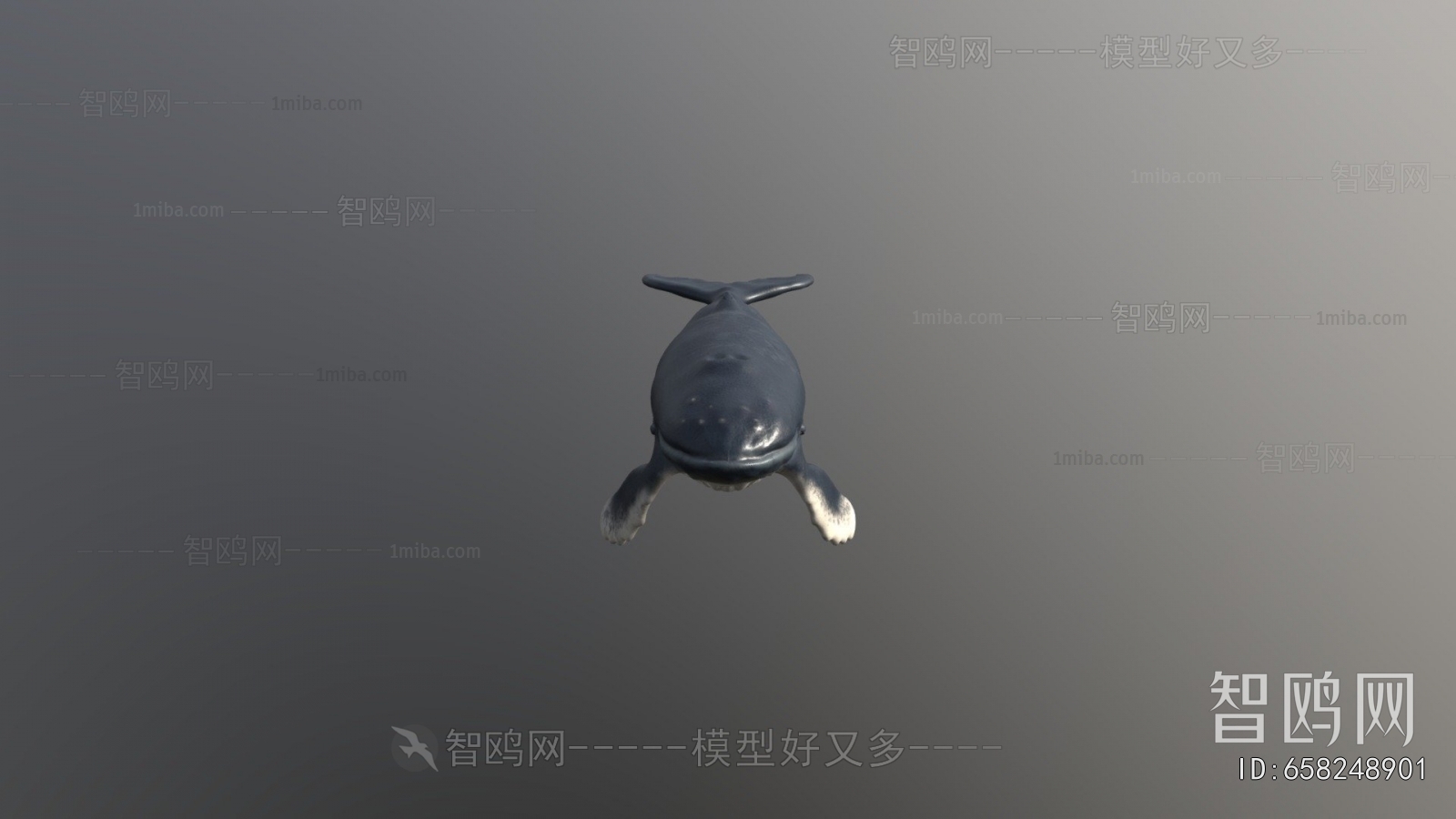 Modern Aquatic Animals