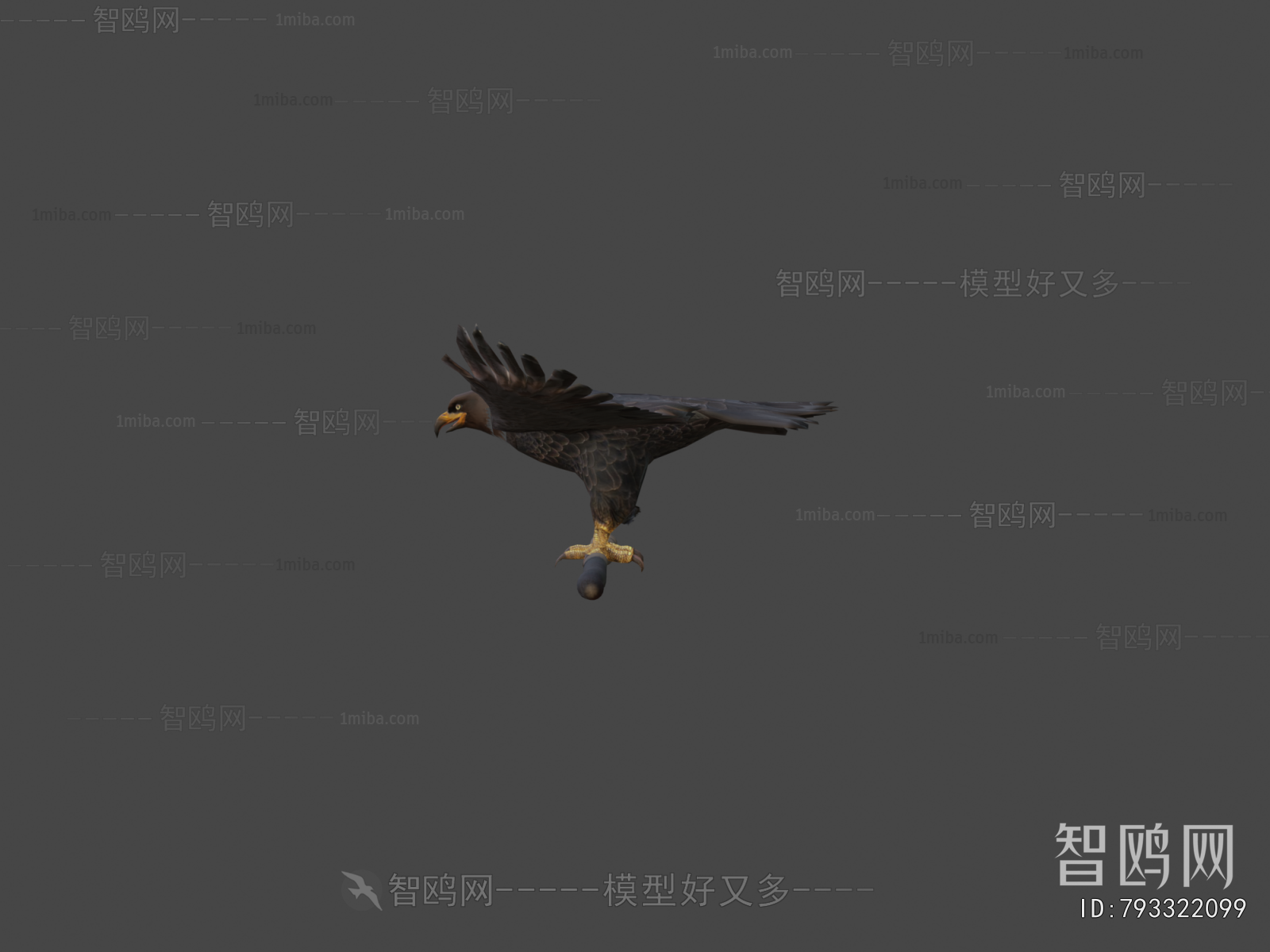 Modern Flying Animals