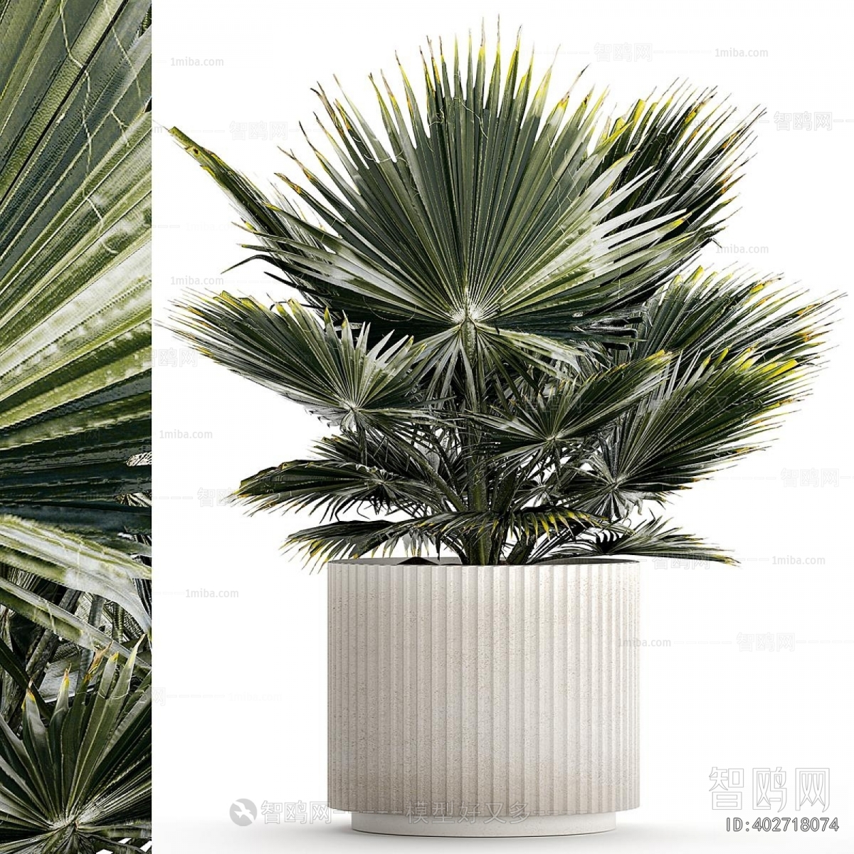 Modern Ground Green Plant Potted Plants