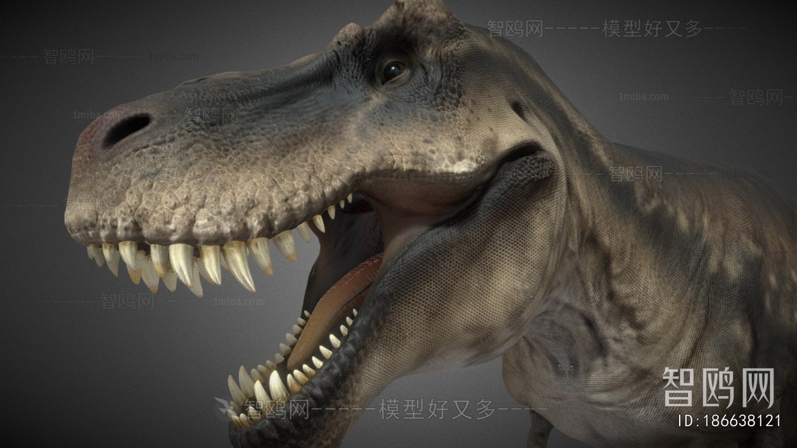 Modern Other Animals