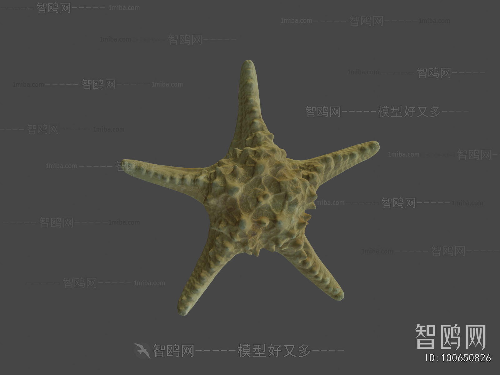 Modern Aquatic Animals