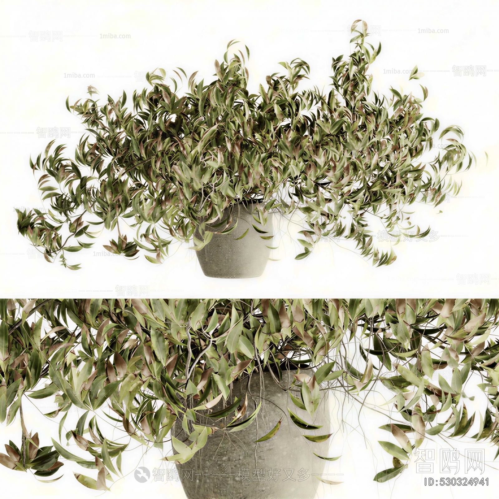 Modern Potted Green Plant