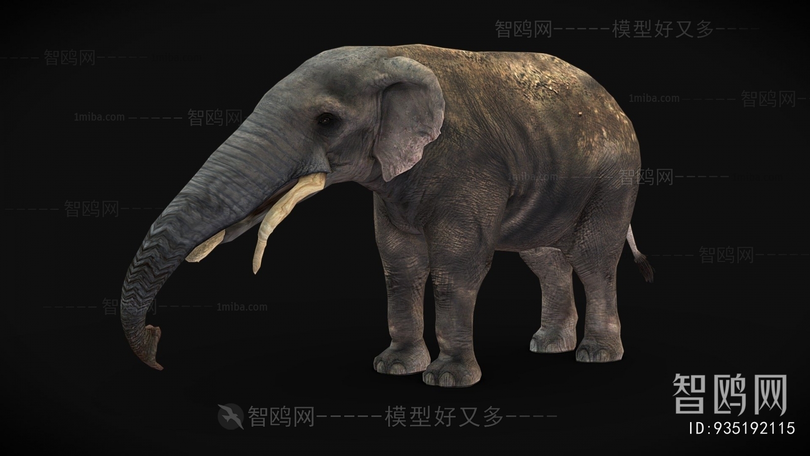 Modern Other Animals