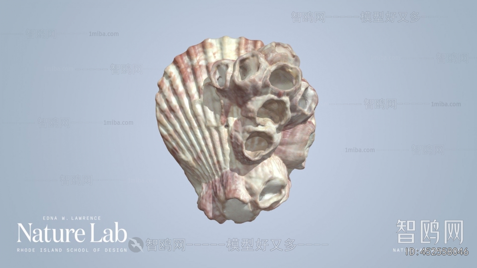 Modern Aquatic Animals