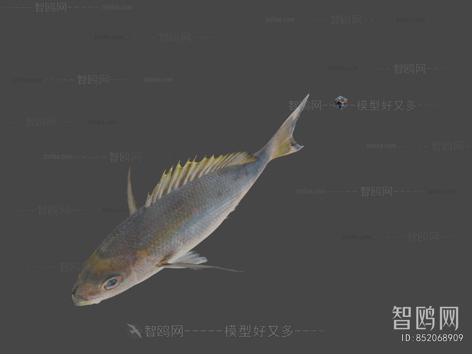 Modern Aquatic Animals