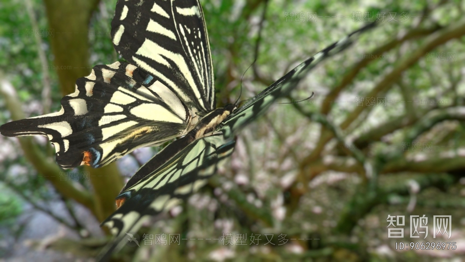 Modern Flying Animals