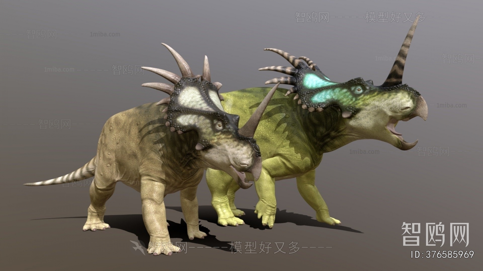 Modern Other Animals