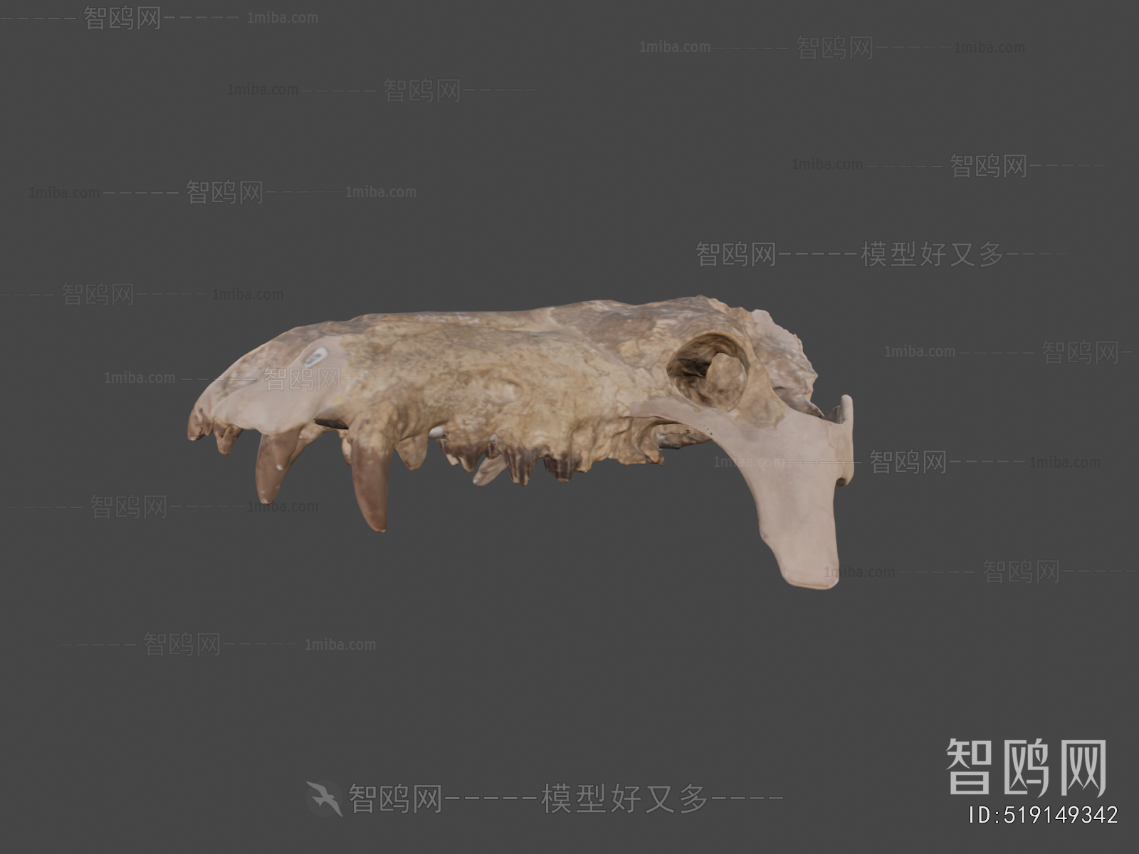 Modern Animal