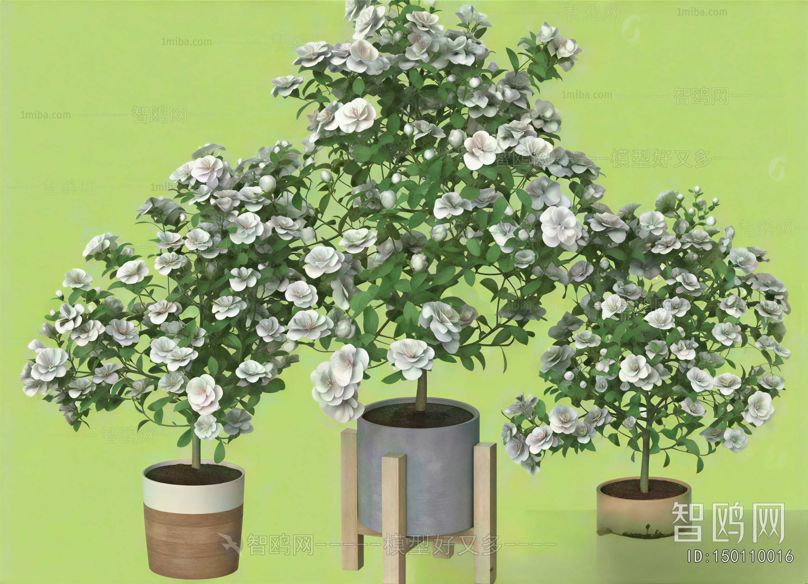 Modern Ground Green Plant Potted Plants