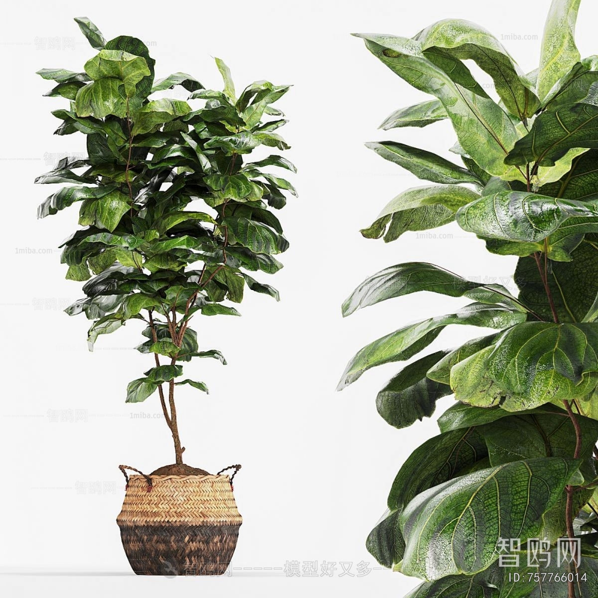 Modern Ground Green Plant Potted Plants