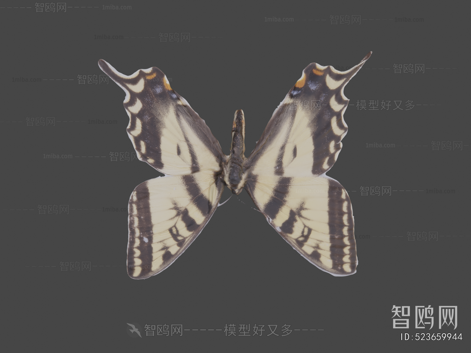 Modern Flying Animals