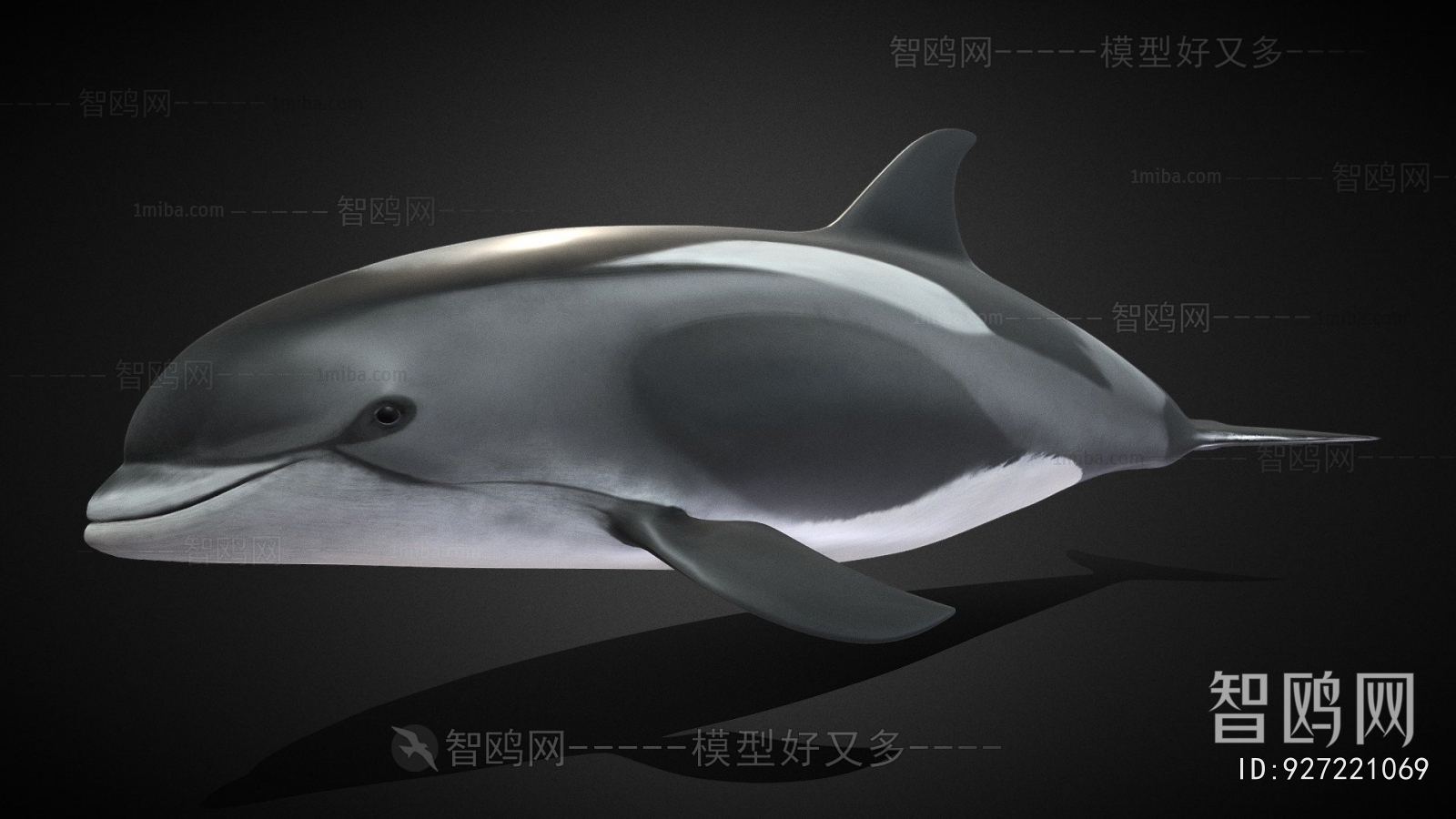 Modern Aquatic Animals