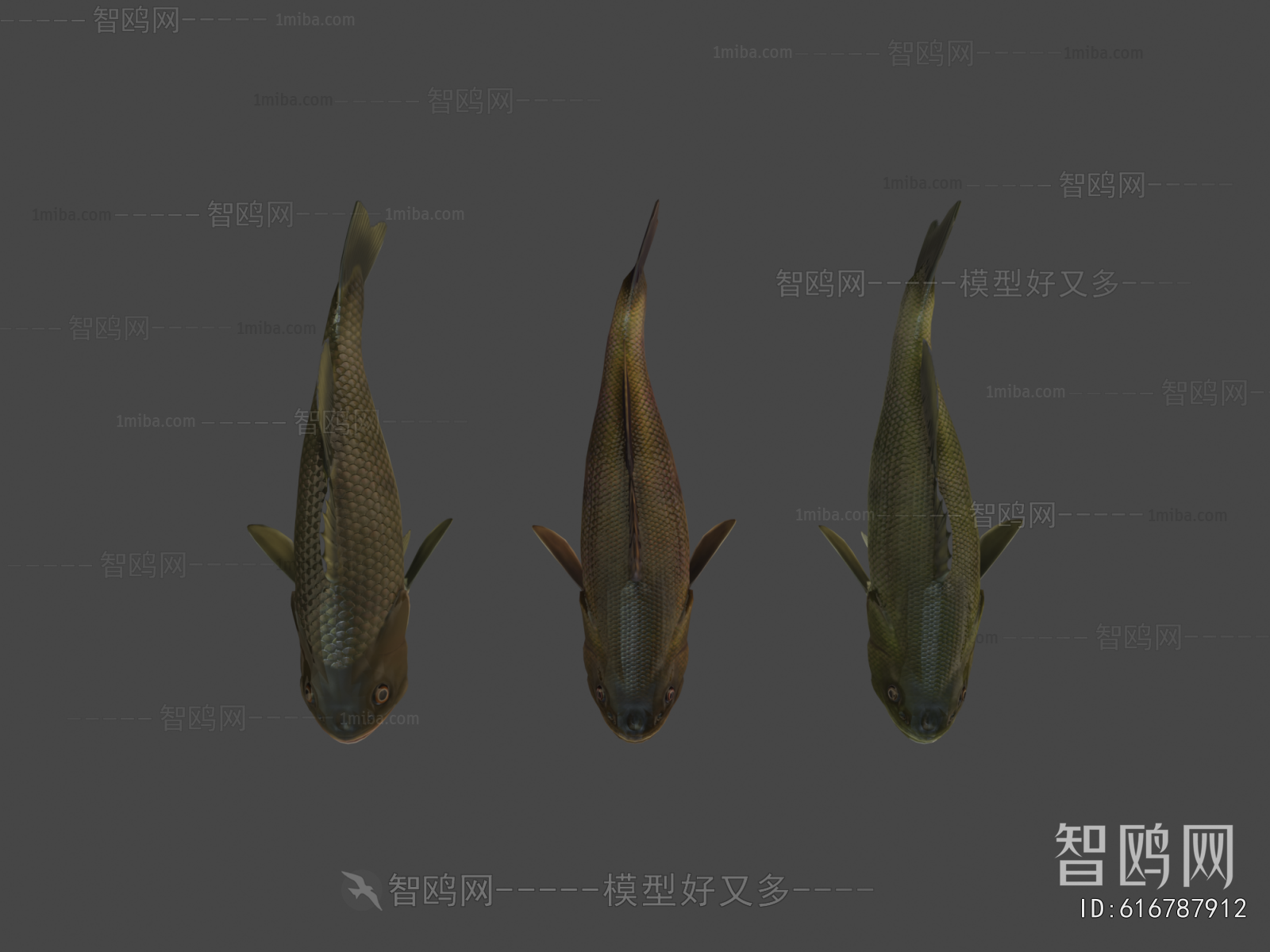 Modern Aquatic Animals