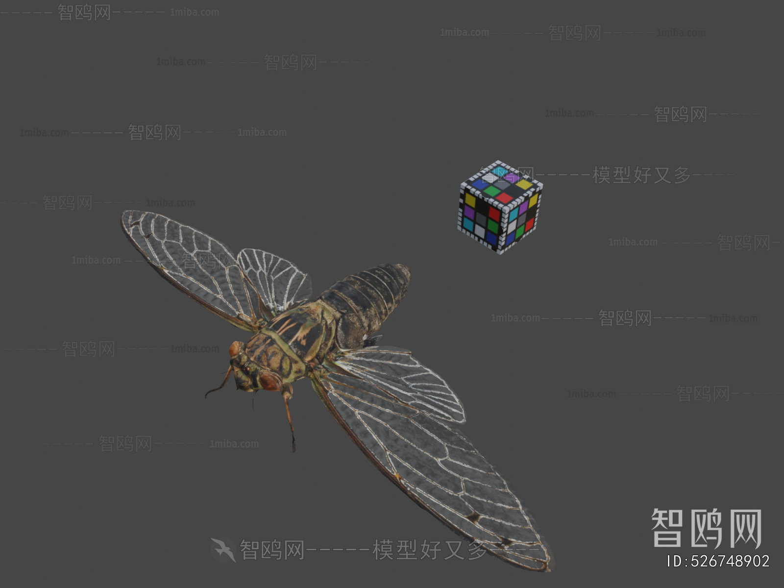 Modern Flying Animals