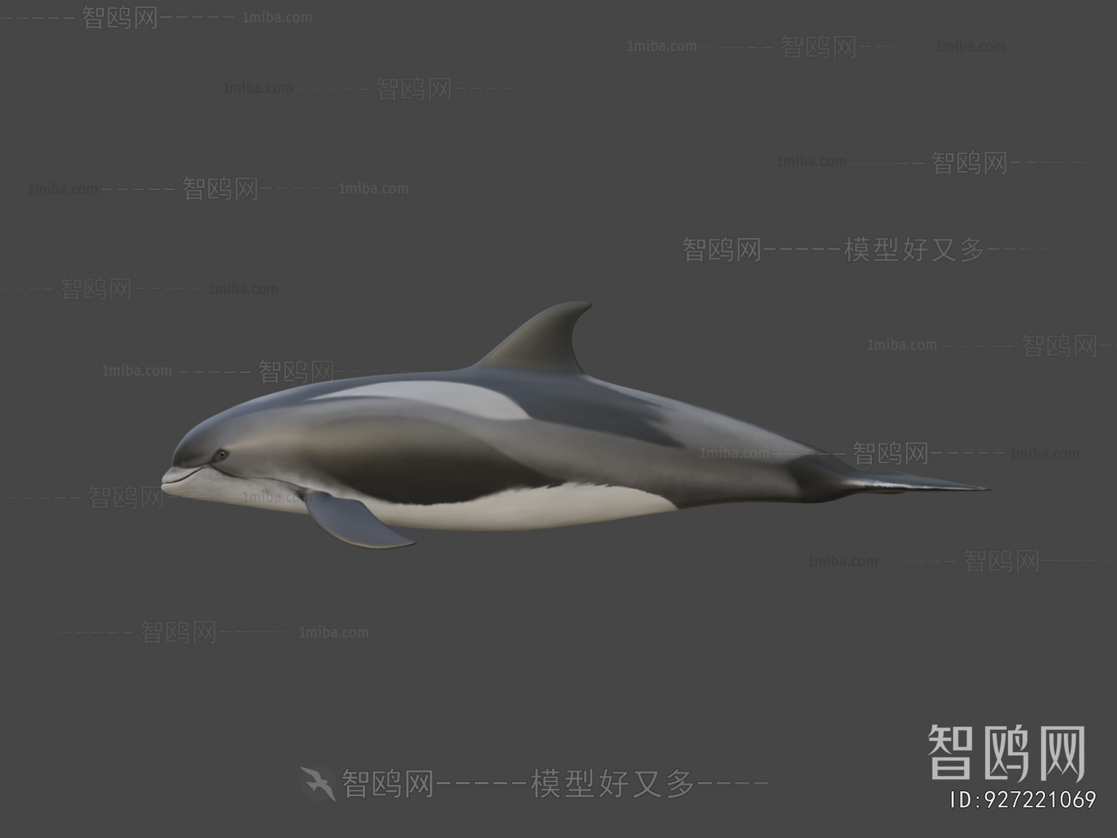 Modern Aquatic Animals