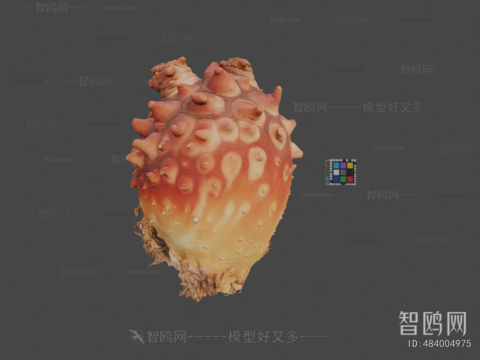 Modern Aquatic Animals